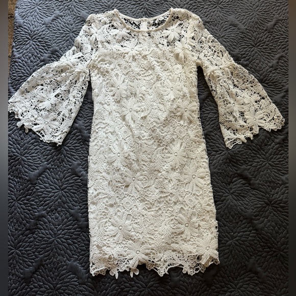 Bisou Bisou Lace Dress - Picture 3 of 4